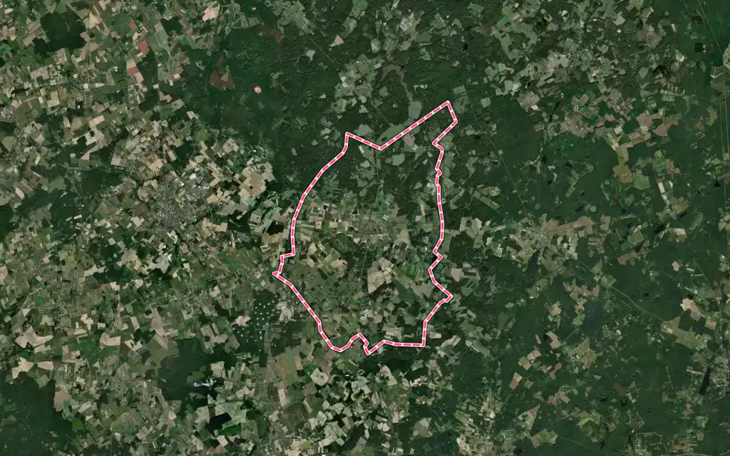 Vue satellite de Soings-en-Sologne avec ses contours administratifs
