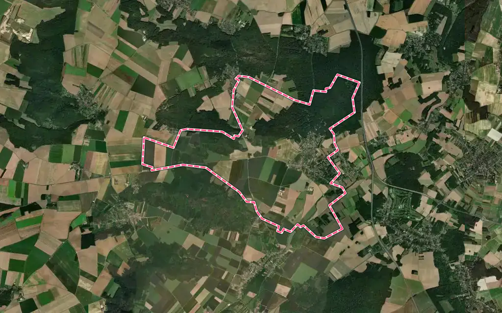 Vue satellite de Soisy-sur-École avec ses contours administratifs