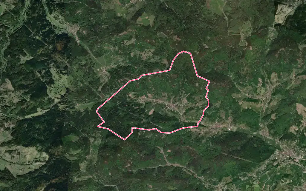 Vue satellite de Steige avec ses contours administratifs