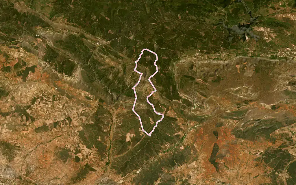 Vista satélite de Talveila con su contorno administrativo