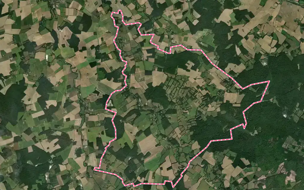 Vue satellite de Tannerre-en-Puisaye avec ses contours administratifs
