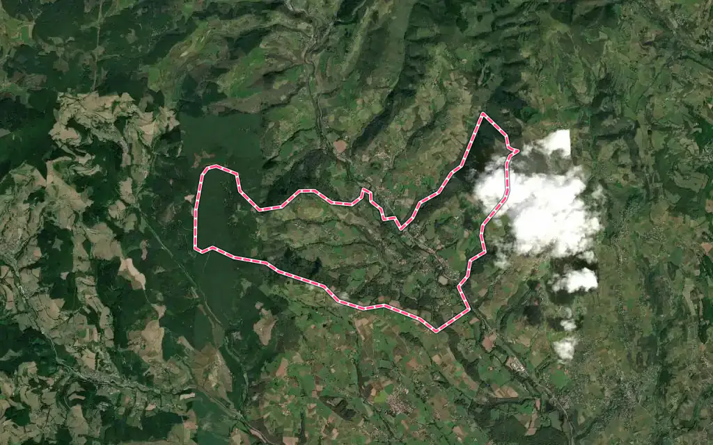 Vue satellite de Ternand avec ses contours administratifs