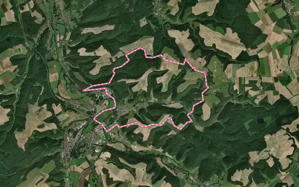 Vue satellite de Thonnance-lès-Joinville avec ses contours administratifs