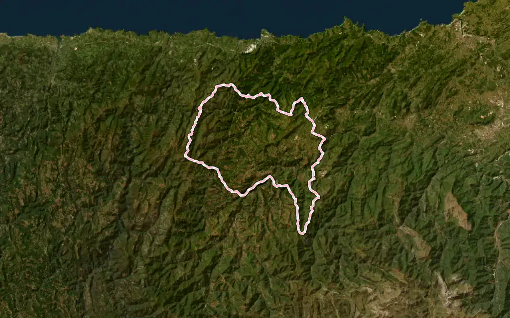 Vista satélite de Tineo con su contorno administrativo