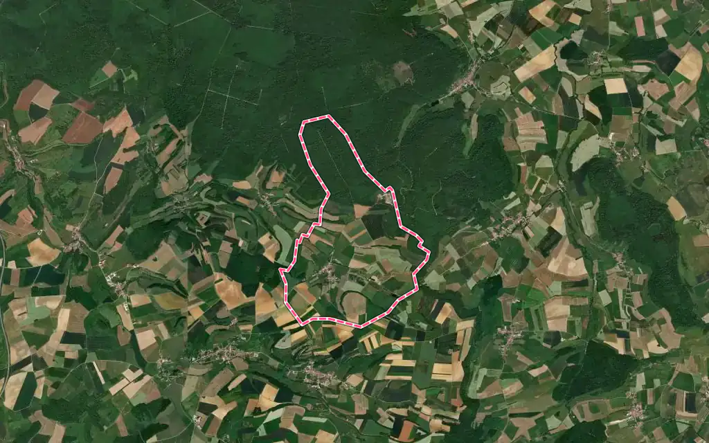 Vue satellite de Tramont-Lassus avec ses contours administratifs