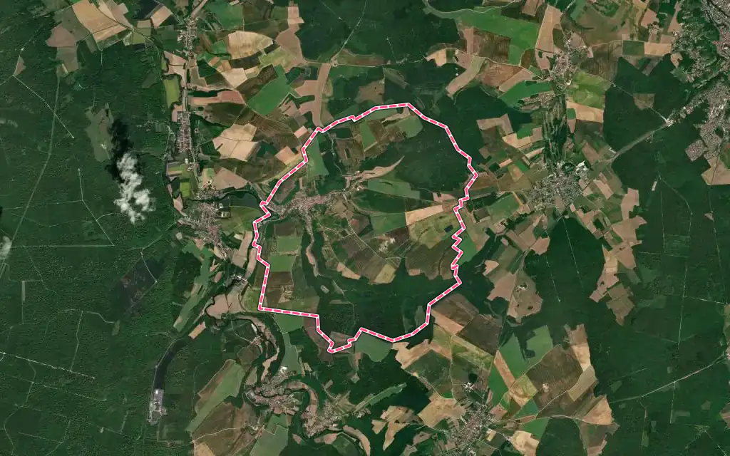 Vue satellite de Trémont-sur-Saulx avec ses contours administratifs