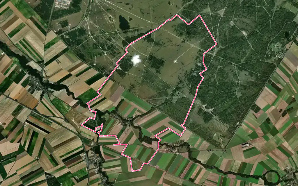 Vue satellite de Vadenay avec ses contours administratifs