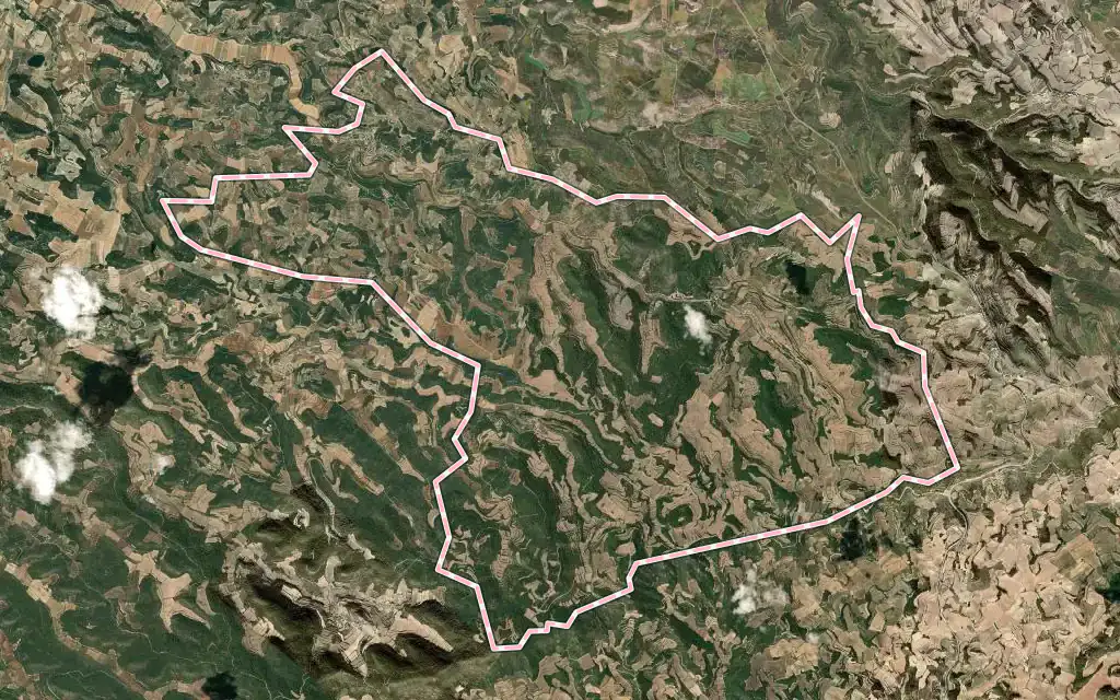 Vista satélite de Vallbona de les Monges con su contorno administrativo
