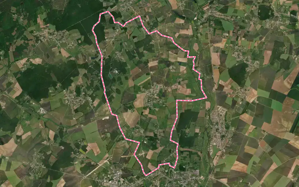 Vue satellite de Vasselay avec ses contours administratifs