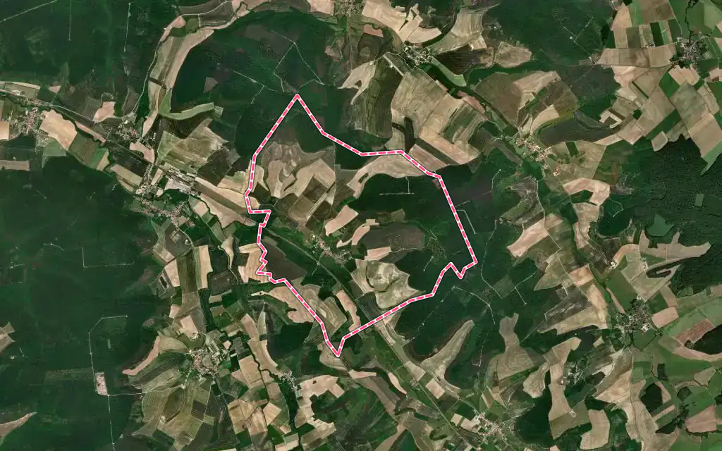 Vue satellite de Vaudrémont avec ses contours administratifs