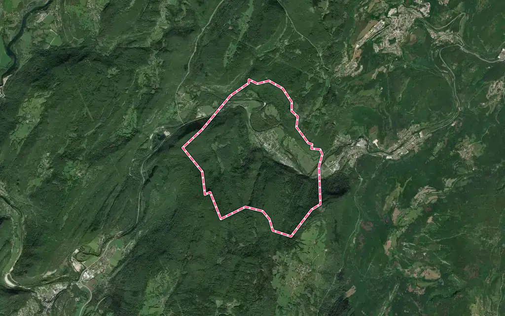 Vue satellite de Vaux-lès-Saint-Claude avec ses contours administratifs