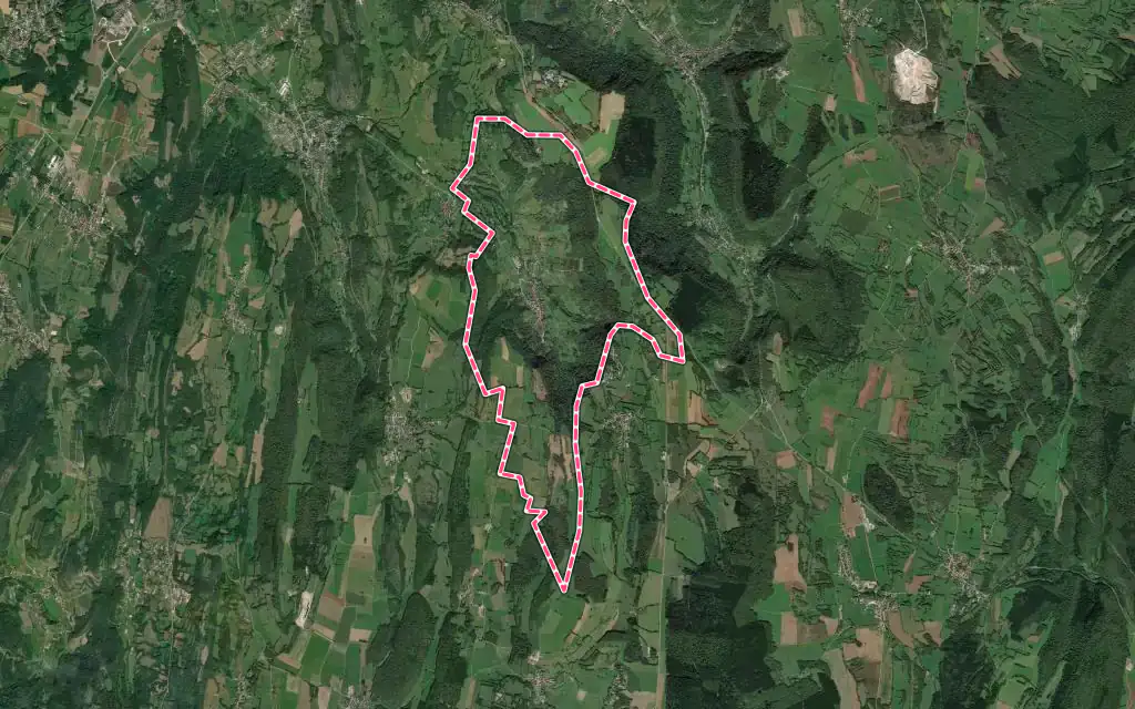 Vue satellite de Vernantois avec ses contours administratifs