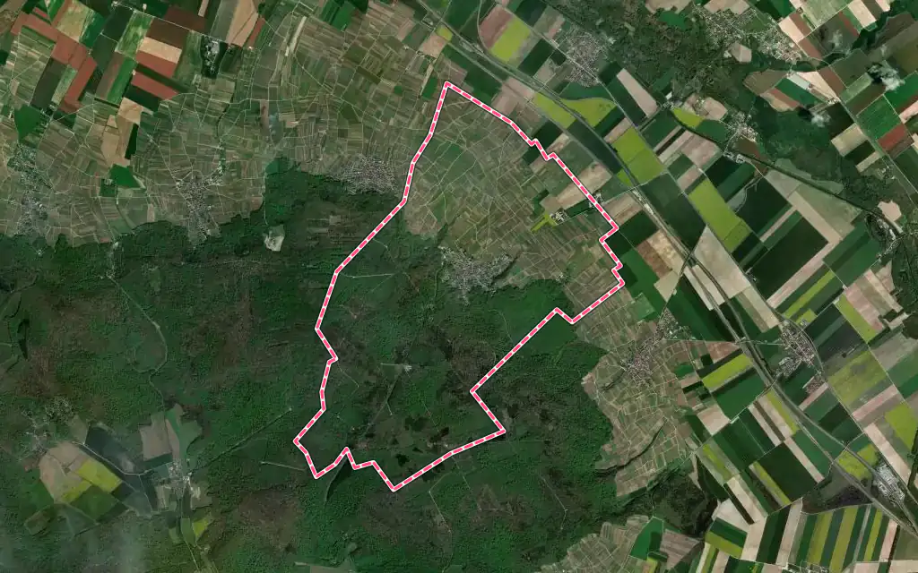 Vue satellite de Verzy avec ses contours administratifs