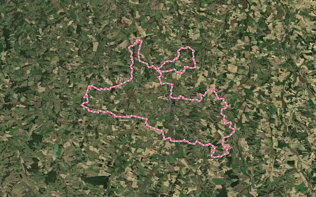Vue satellite de Vic-Fezensac avec ses contours administratifs