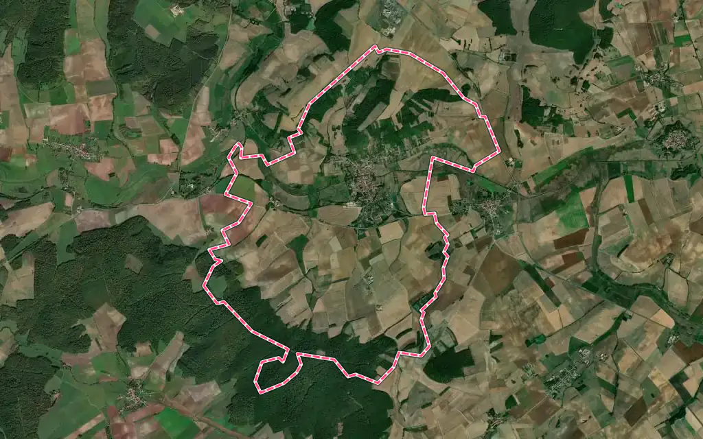 Vue satellite de Vic-sur-Seille avec ses contours administratifs