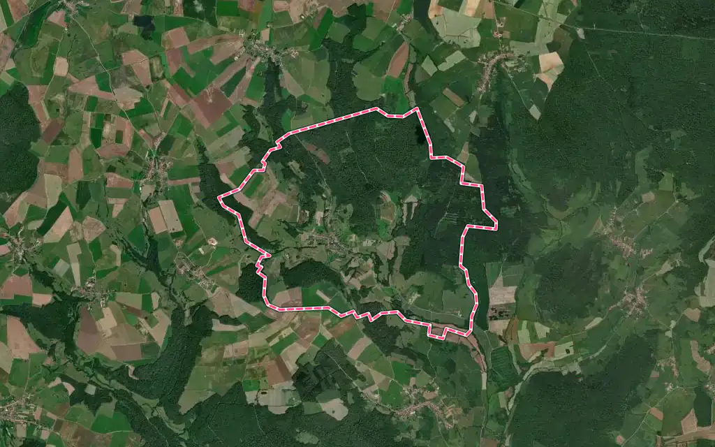 Vue satellite de Vicq avec ses contours administratifs