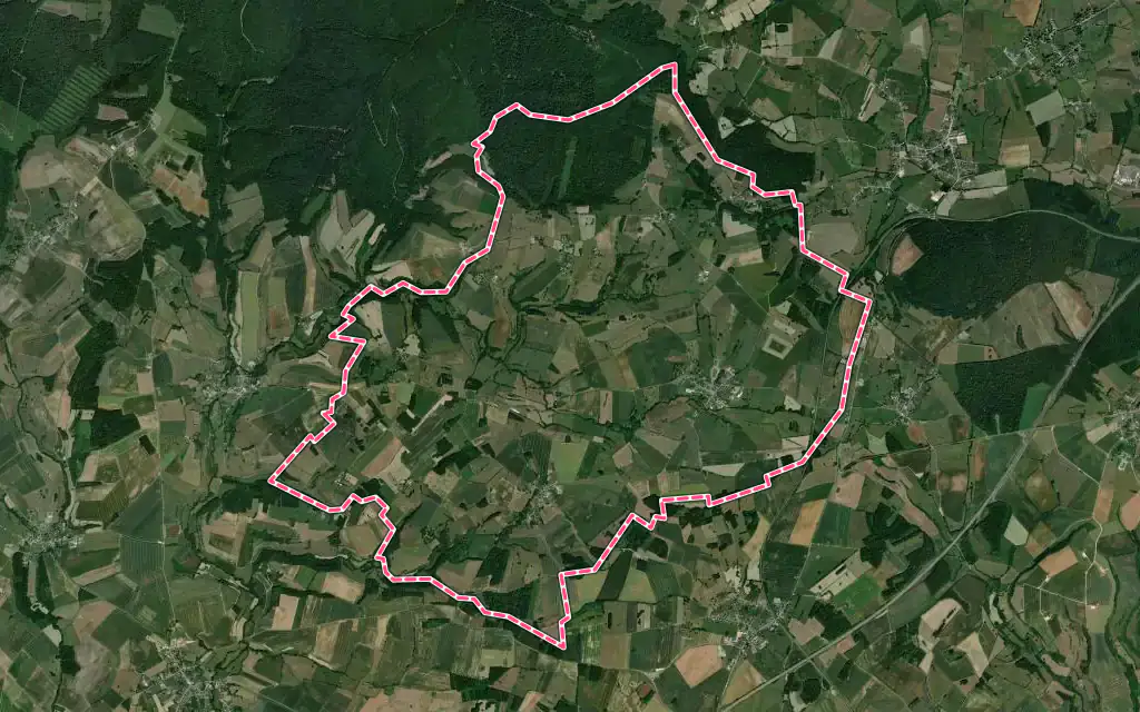 Vue satellite de Viel-Saint-Remy avec ses contours administratifs