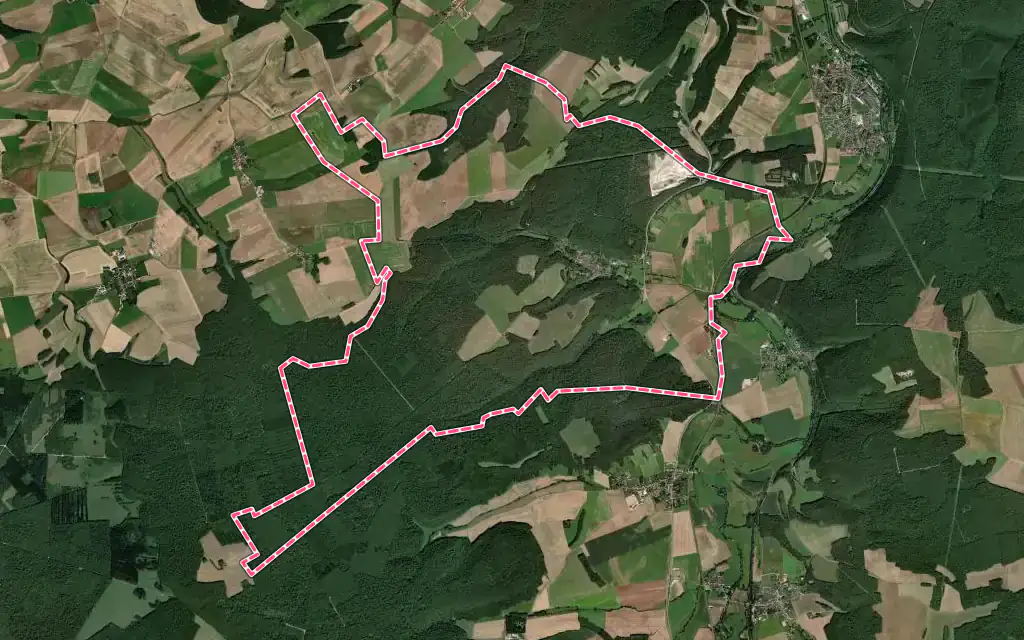 Vue satellite de Vignory avec ses contours administratifs