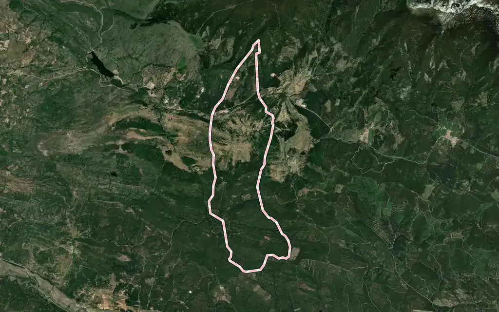 Vista satélite de Vilviestre del Pinar con su contorno administrativo