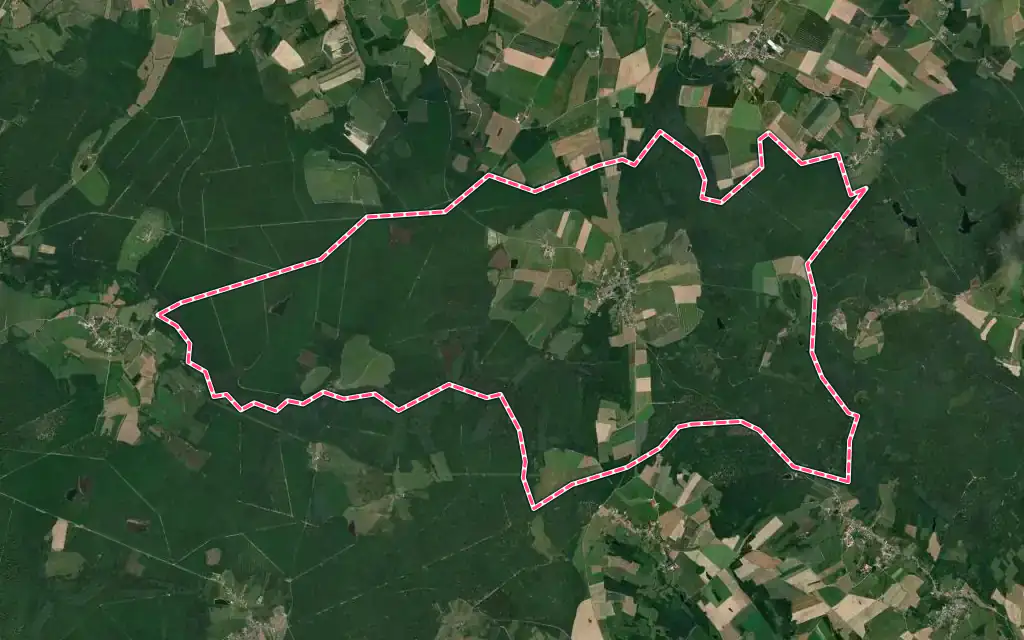 Vue satellite de Vioménil avec ses contours administratifs