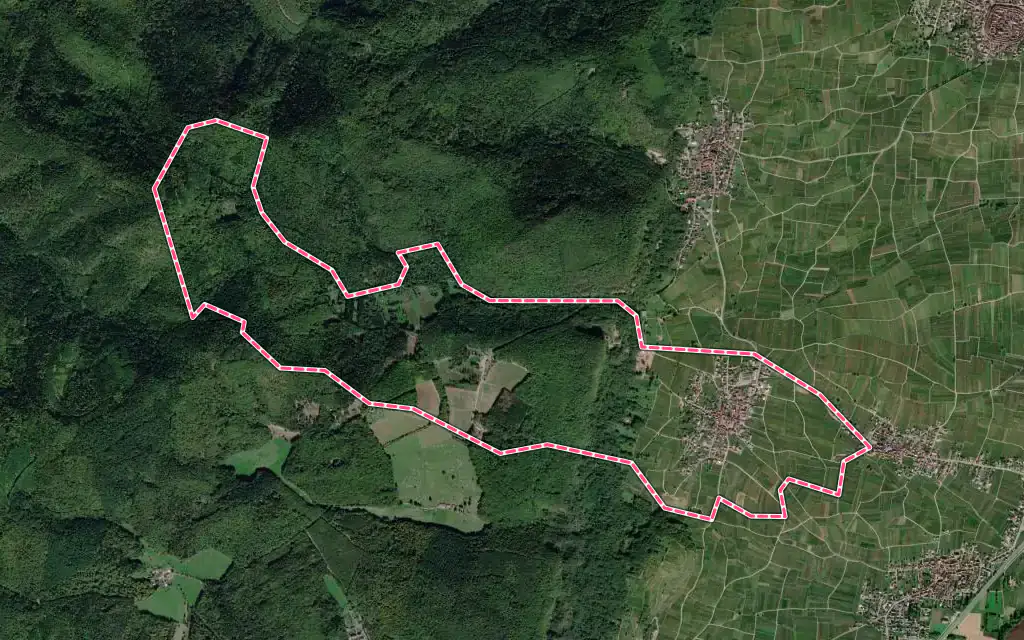 Vue satellite de Vœgtlinshoffen avec ses contours administratifs