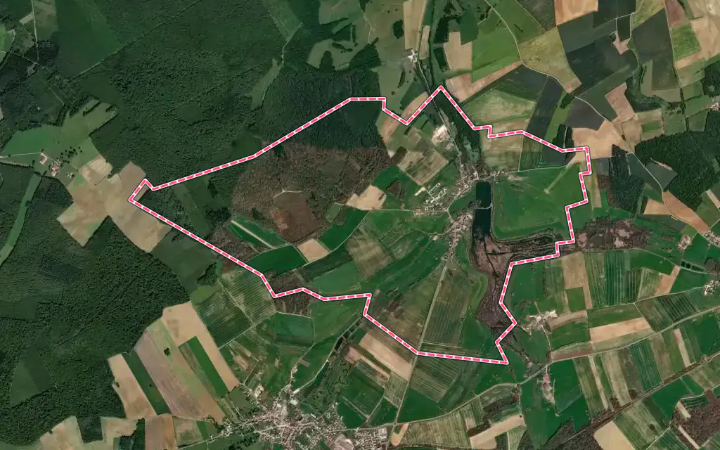 Vue satellite de Vy-le-Ferroux avec ses contours administratifs