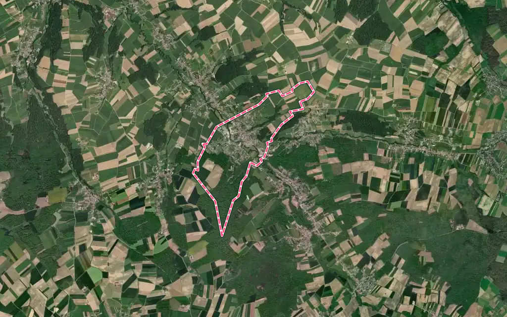 Vue satellite de Waldighofen avec ses contours administratifs