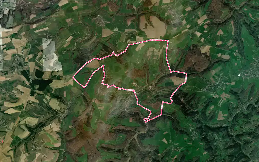Vue satellite de Walschbronn avec ses contours administratifs