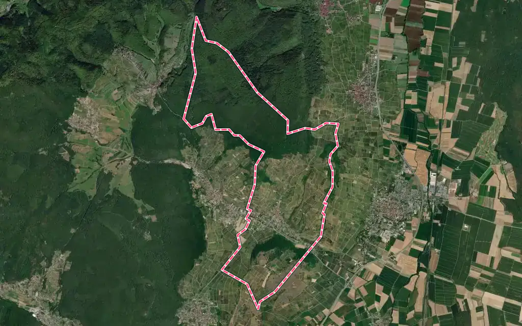 Vue satellite de Westhalten avec ses contours administratifs