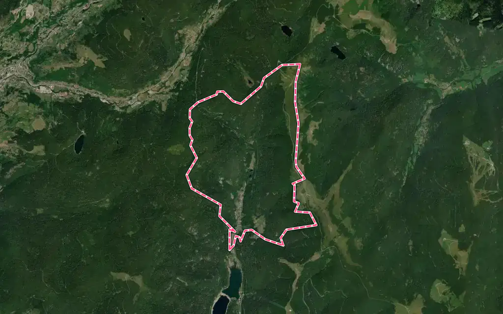 Vue satellite de Wildenstein avec ses contours administratifs