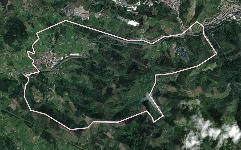 Vista satélite de Zaldibar con su contorno administrativo