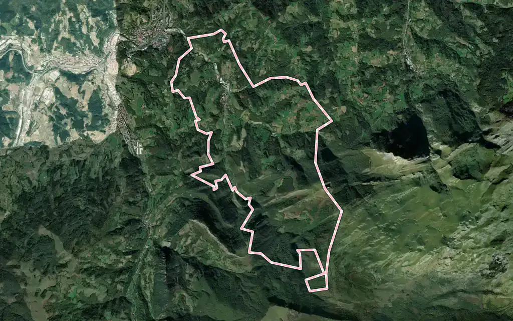 Vista satélite de Zaldibia con su contorno administrativo