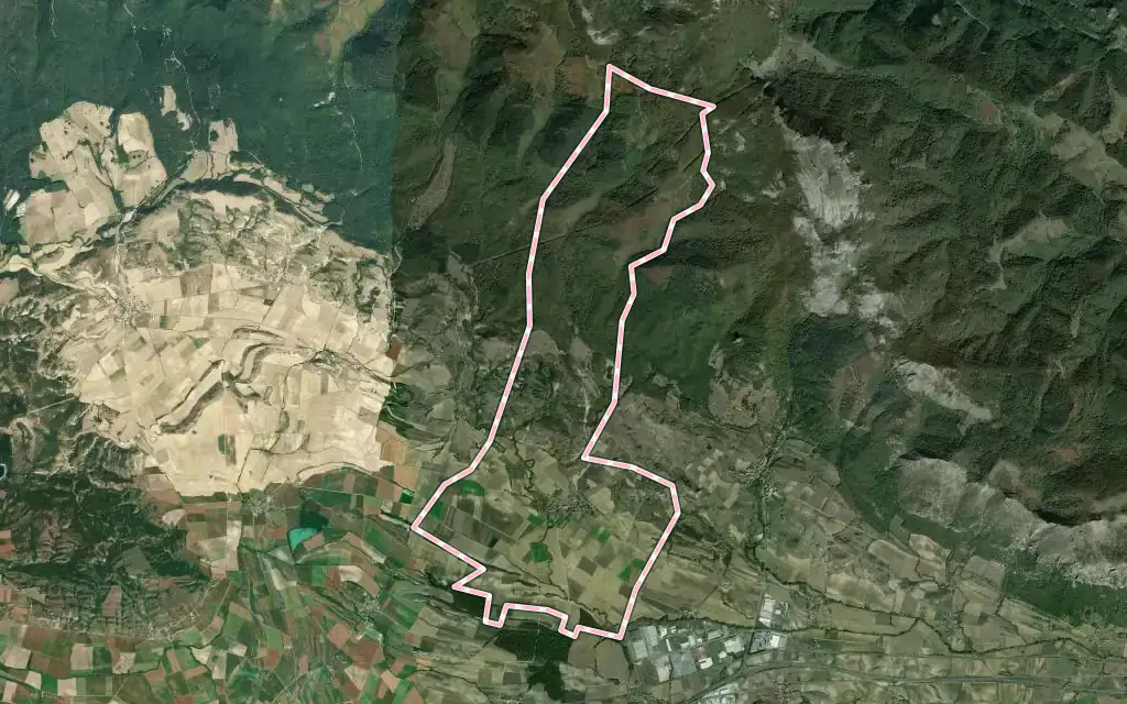 Vista satélite de Zalduondo con su contorno administrativo