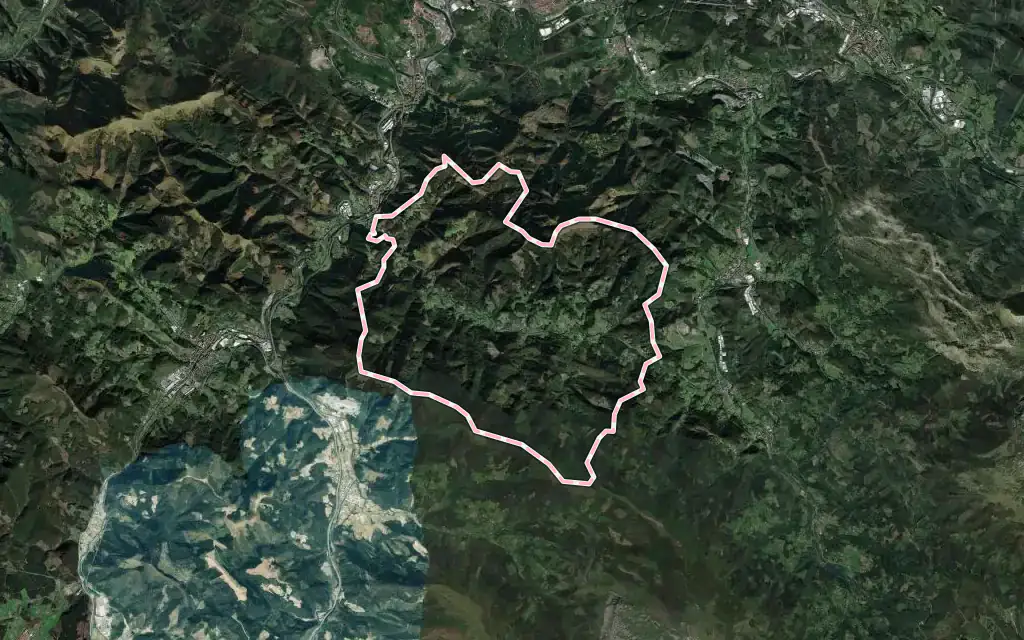 Vista satélite de Zeberio con su contorno administrativo