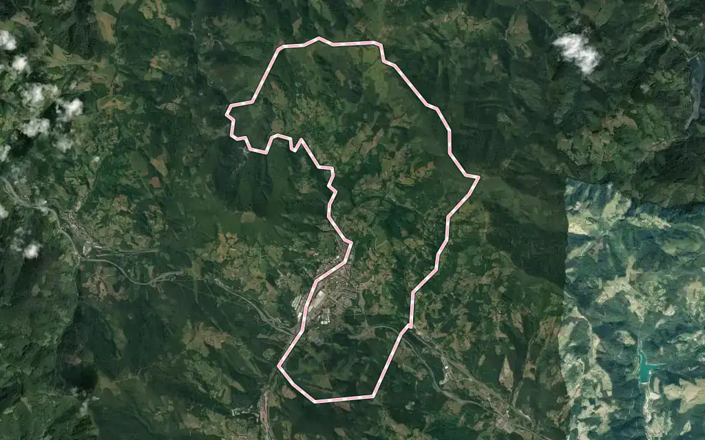 Vista satélite de Zumárraga con su contorno administrativo